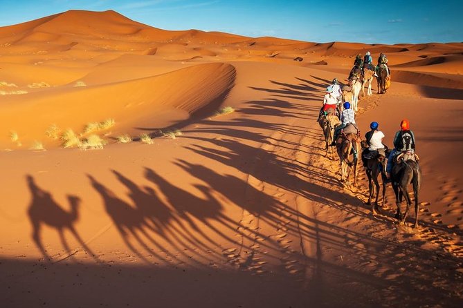 3-Day Marrakech to Fes Sahara Desert Tour via Merzouga - Standard vs Premium: when upgrading is worth it