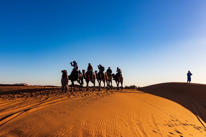 3-Day Marrakech to Merzouga Desert Tour: Camel Rides & Overnights - Day 3: Early Desert Life, Then Roses Valley and Back to Marrakech