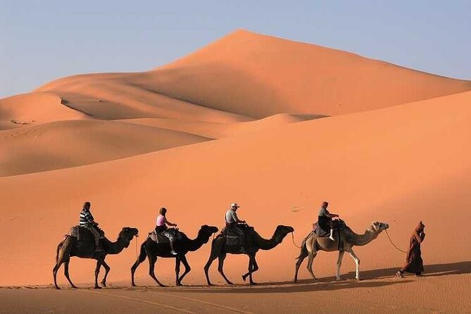 3-Day Marrakech to Merzouga Desert Tour: Camel Rides & Overnights - Value for Money: What You Get for Around $115.86