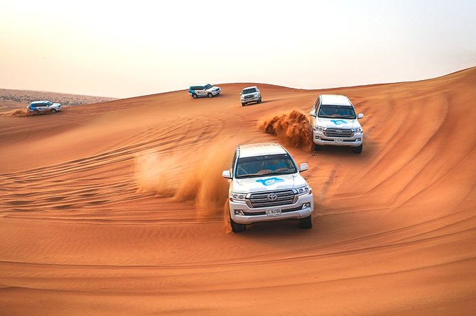 Abu Dhabi: Morning Desert Safari with Camels and Sandboarding - The Camel Ride: Short, Classic, and Mostly About the Views