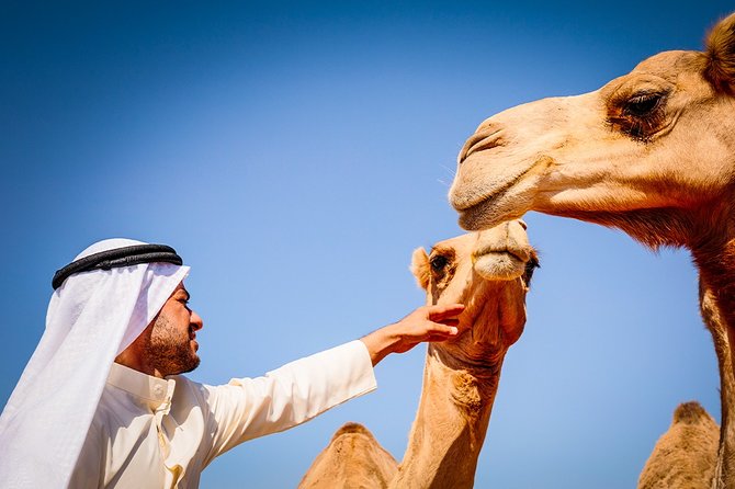 Abu Dhabi: Morning Desert Safari with Camels and Sandboarding - The 45-Minute Drive Out: When Your Guide Gets You Ready