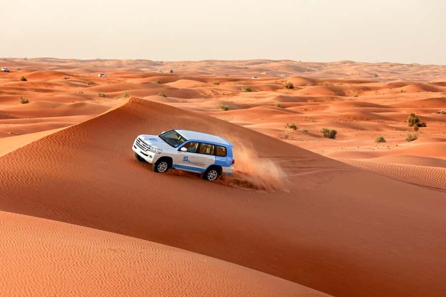 Abu Dhabi: Morning Desert Tour, Camel Ride & Sandboarding - Dune bashing in a 4x4: adrenaline with rules you should respect