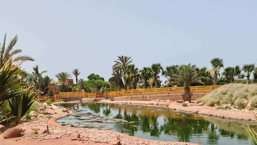 Agadir: Crocoparc Skip-the-Line Entry Ticket - Entering Crocoparc Agadir Through the Crocodile Mouth