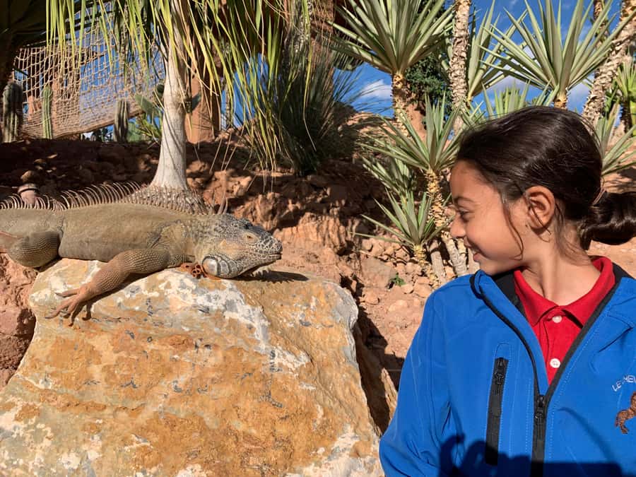 Agadir: Crocoparc Skip-the-Line Entry Ticket - The Five Garden Zones: Walk From Aquatic Plants to Cactus Corners
