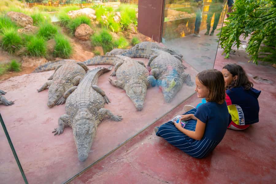 Agadir: Crocoparc Skip-the-Line Entry Ticket - Price and Value: Is $11 a Fair Deal?