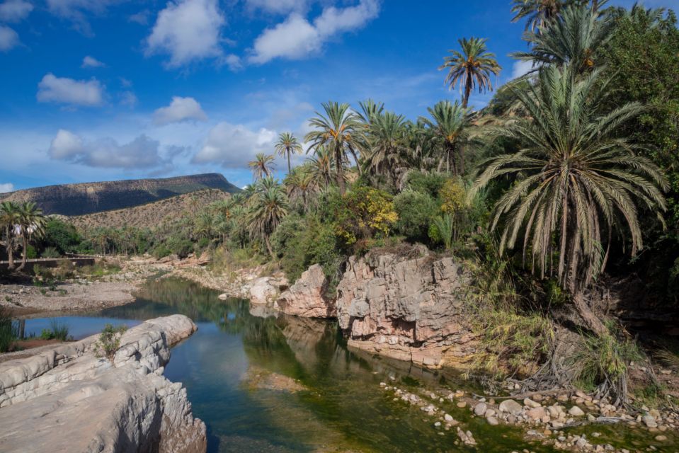 Agadir or Taghazout: Paradise Valley Atlas Mountains Tour - Should You Book the Paradise Valley Atlas Mountains Tour?