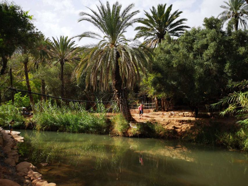 Agadir or Taghazout: Paradise Valley Atlas Mountains Tour - Botanical Garden and Women’s Argan Oil Center: Culture With a Purpose