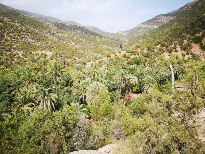 Agadir or Taghazout: Paradise Valley Atlas Mountains Tour - How the Half-Day Schedule Works (and Where Your Time Actually Goes)