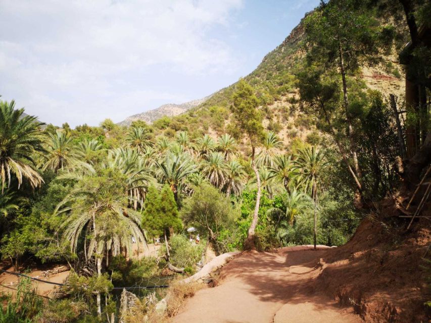 Agadir or Taghazout: Paradise Valley Atlas Mountains Tour - Practical Tips That Make the Difference in Paradise Valley