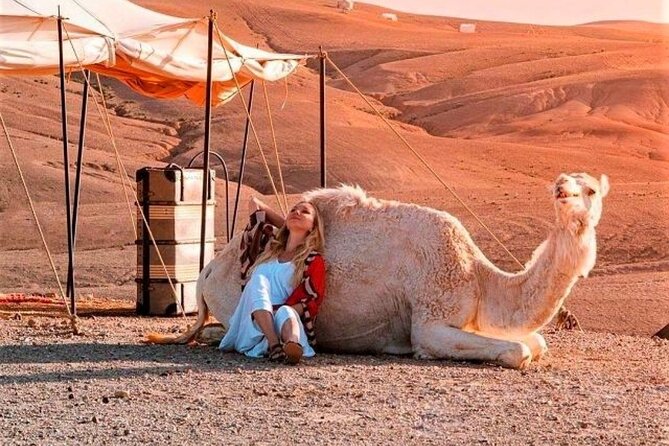 Agafay Desert: Dinner + Show with Quad Bike & Sunset Camel Ride - Marrakech to Agafay: The Pickup and Drive Reality Check