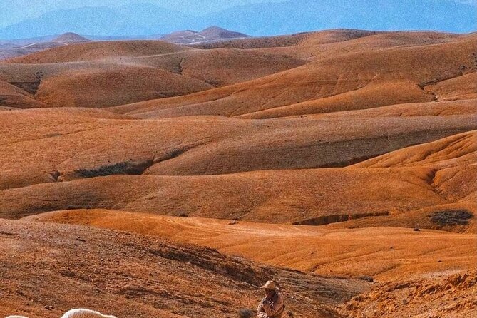Agafay Desert: Dinner + Show with Quad Bike & Sunset Camel Ride - The Camp Stops You Might Not Expect: Tea, Argan Oil, and a Pool Moment