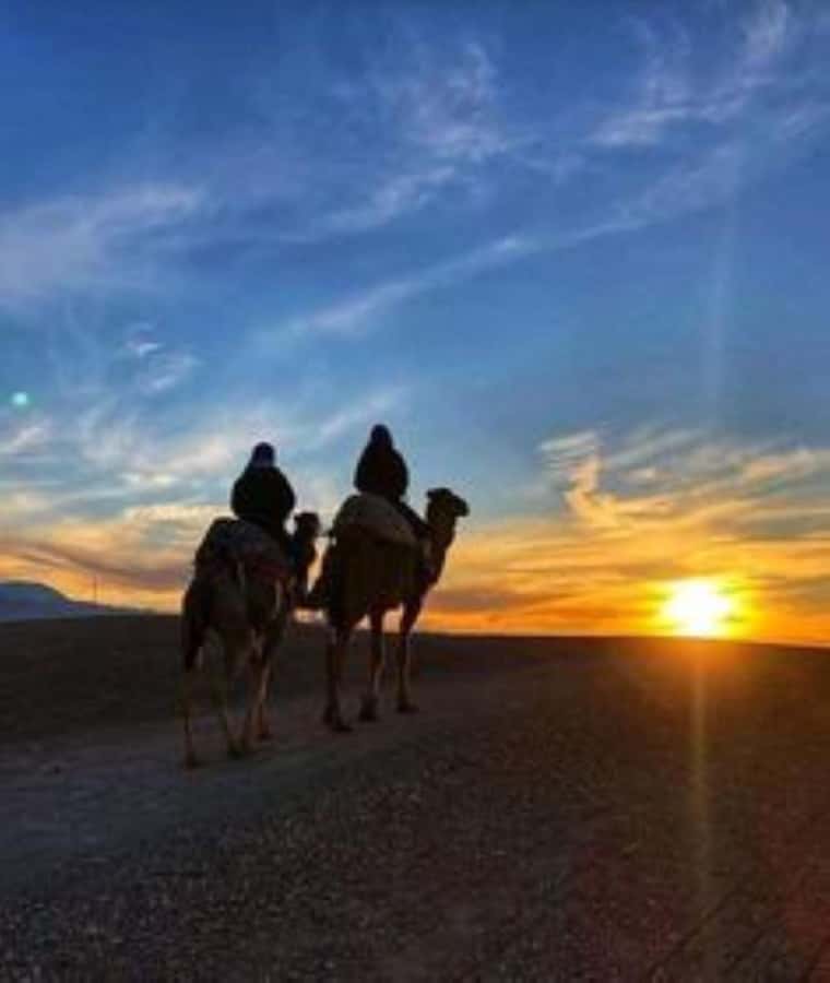 Agafay: Quad, Camel Ride & Dinner Show from Marrakech - Agafay Quad, Camel Ride & Dinner Show: What This Evening Really Feels Like