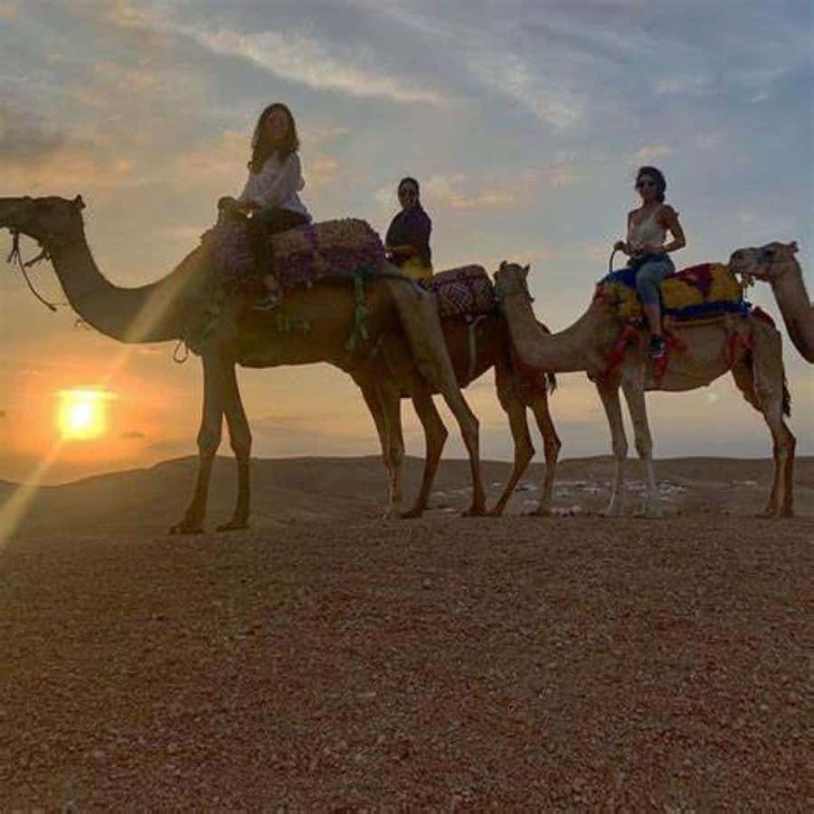 Agafay: Quad, Camel Ride & Dinner Show from Marrakech - Camel Ride at Sunset: How the 15 Minutes Stays Relaxing