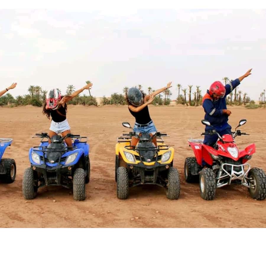 Around Marrakech: Camel Ride in Palm Groves including Tea - Palmeraie palm groves and nearby villages: what you’ll actually see
