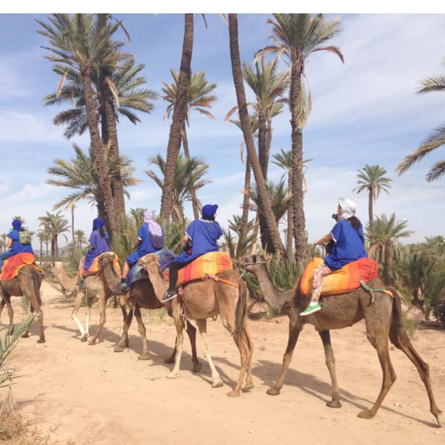 Around Marrakech: Camel Ride in Palm Groves including Tea - Getting on the camel: what the guides do, and how to prepare