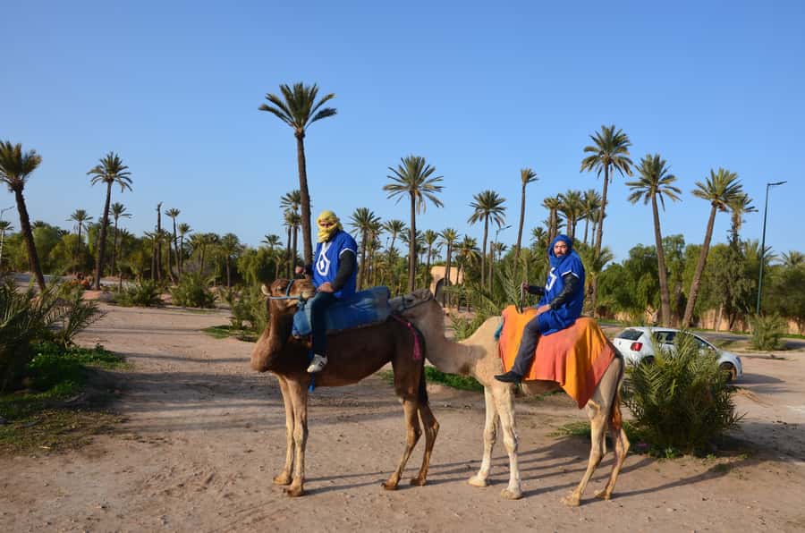 Around Marrakech: Camel Ride in Palm Groves including Tea - Optional quad bike: when to add the extra 2 hours