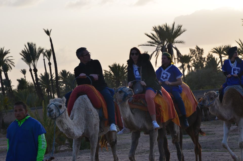 Around Marrakech: Camel Ride in Palm Groves including Tea - Price and value: what $47 buys you in Marrakech terms