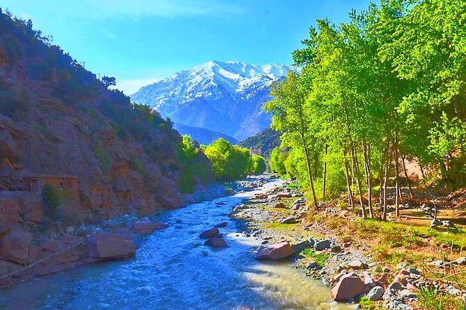 Atlas Mountains, 3 Valleys & Agafay Desert from Marrakech-DayTour - Argan Oil at the Women’s Cooperative: See It, Taste It, and Skip the Hard Sell