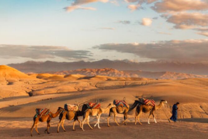 Atlas Mountains, 3 Valleys & Agafay Desert from Marrakech-DayTour - Camel Ride Through a Gorge: Fun, but Set Your Expectations