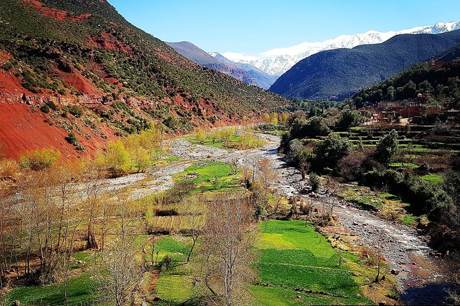 Atlas Mountains & 5 Valleys Tour from Marrakech - All inclusive - - Getting There Comfortably: Pickup, Vehicle, and Timing