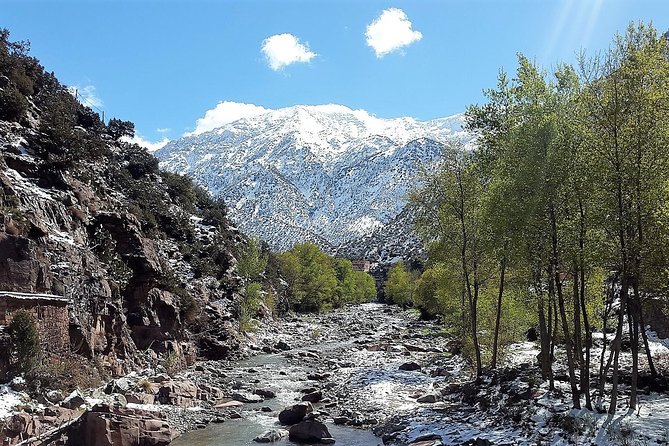 Atlas Mountains & 5 Valleys Tour from Marrakech - All inclusive - - Stop 1: High Atlas Mountains Viewpoints and Photo Stops
