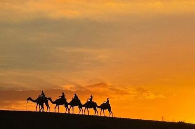 Atlas Mountains, Berber Villages and Three Valleys all inclusive - Argan Oil Cooperative Stop: More Than a Photo Stop