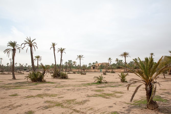 Atlas Mountains Hot Air Balloon Ride from Marrakech with Berber Breakfast and Desert Camel Experience - Who should book this Marrakech-to-Atlas balloon experience