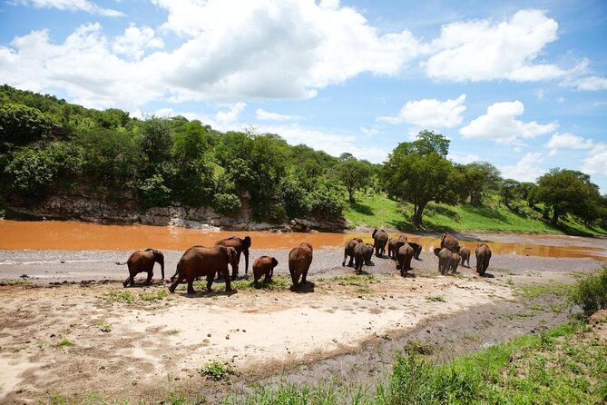 Balloon Safari & Bush Breakfast in Serengeti - Miracle Experience - Key highlights you’ll actually care about