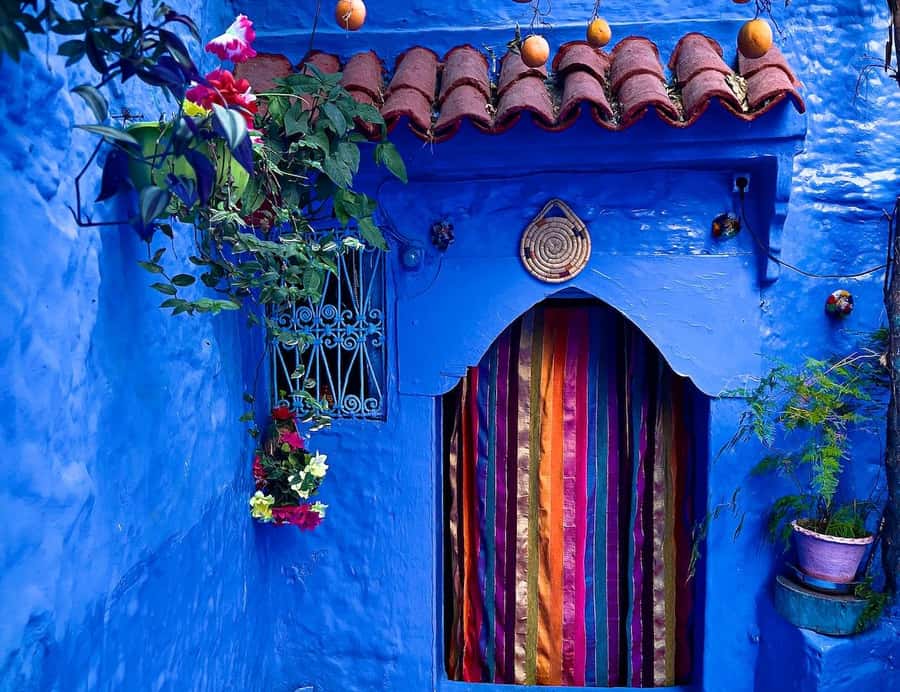 Blue City magic: Affordable Day Trip from Fez to Chefchaouen - Quick hits you’ll care about