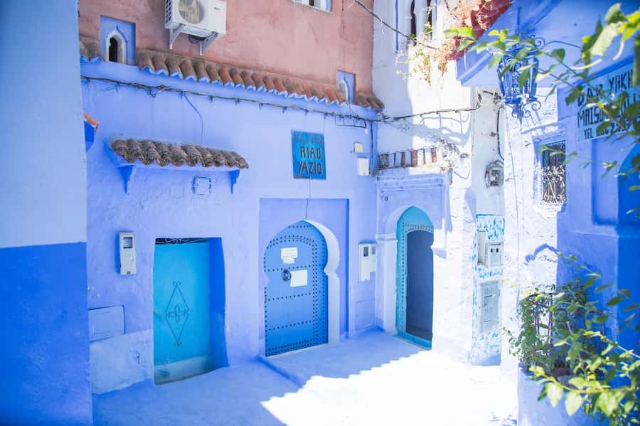Blue City magic: Affordable Day Trip from Fez to Chefchaouen - Who Should Book This Trip (and Who Might Prefer Something Else)