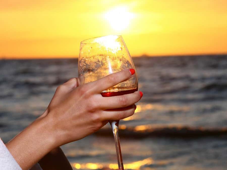 Cairo: Nile Sunset Dinner Cruise, Show & Optional Transfer - Key things you’ll notice right away