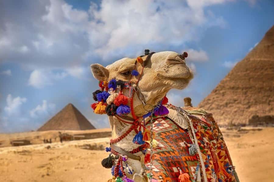Cairo: Pyramids & Great Sphinx Private Tour with Camel Ride - The Giza Plateau story: Old Kingdom context that actually clicks