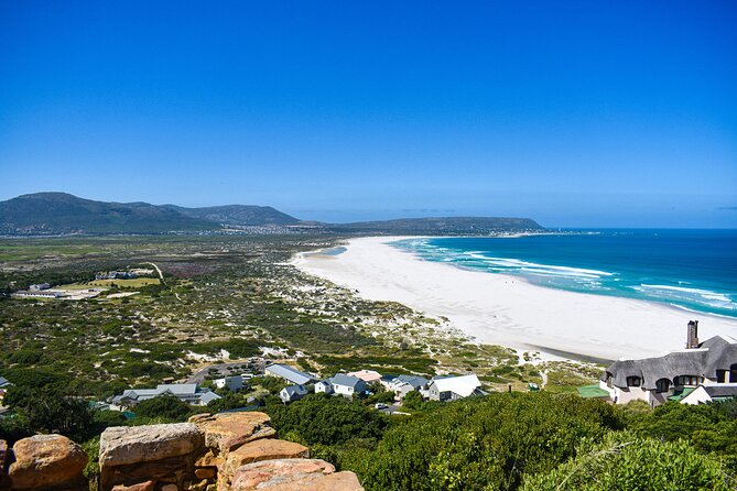 Cape of Good Hope & Boulder Penguins Full-Day Tour from Cape Town - What Makes This Tour Work: Pace, Stops, and the Photo-Ready Guide Style