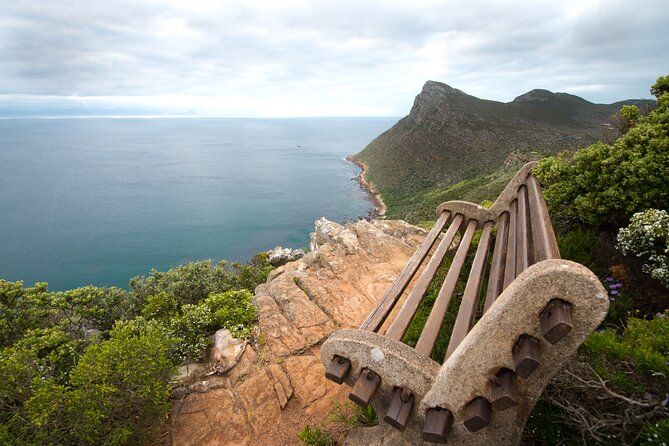 Cape Point and Boulder's Penguins Full Day Tour - Key highlights you’ll care about