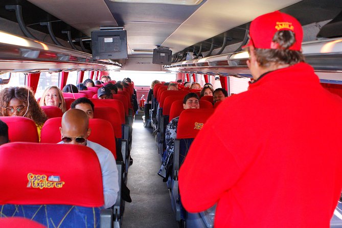Cape Point and Boulder's Penguins Full Day Tour - Penguins and Cape Point in one tight, well-run day