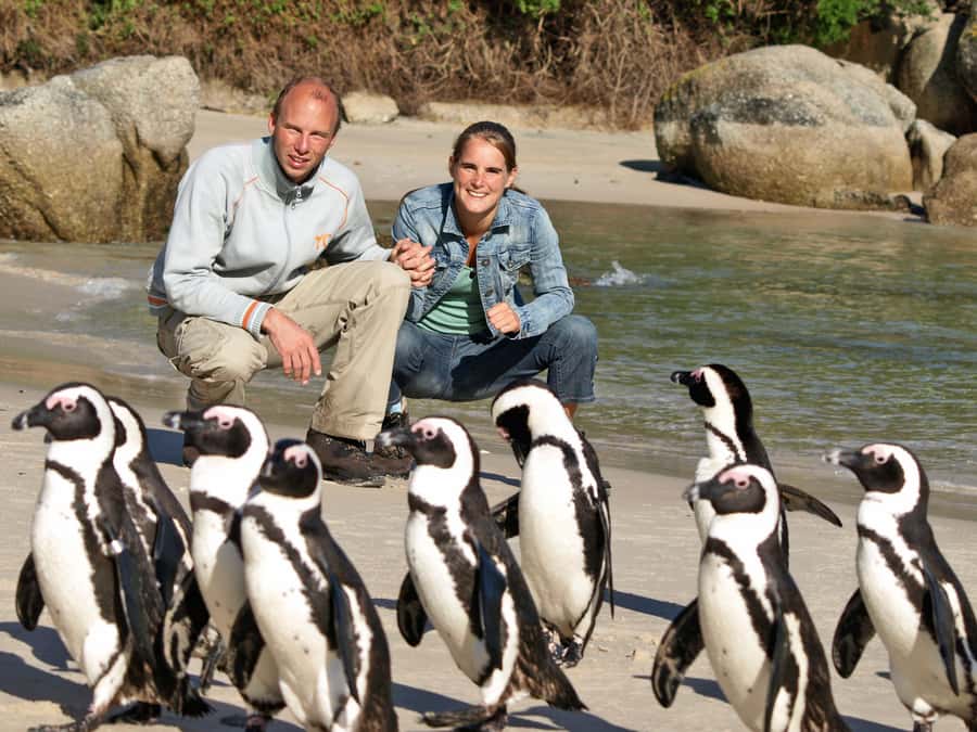 Cape Town: Cape of Good Hope & Penguins Day Tour with Pickup - The big idea: Cape of Good Hope and penguins, packed into one day