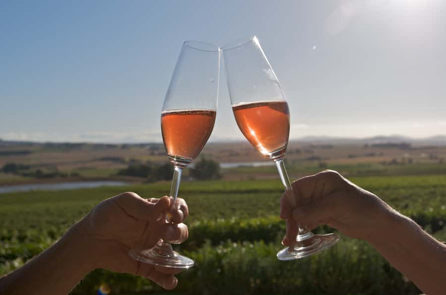 Cape Town: Full-Day Winelands Tour with Wine Tastings & Food - A 9-hour Winelands circuit: Paarl to Stellenbosch without the driving headache