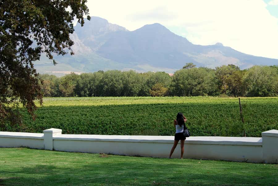 Cape Town: Full-Day Winelands Tour with Wine Tastings & Food - Paarl first: cheese-friendly tastings and big-view countryside stops