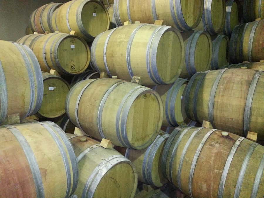 Cape Town: Full-Day Winelands Tour with Wine Tastings & Food - Comfort and pacing: what a long wine day feels like in real life