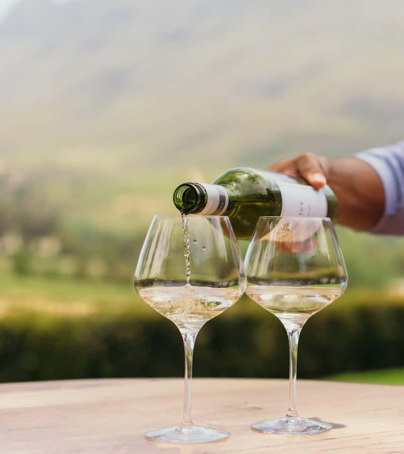 Cape Town: Full-Day Winelands Tour with Wine Tastings & Food - Pickup windows in Cape Town: how to show up ready (and not stressed)
