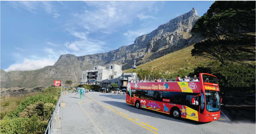 Cape Town: Hop-On Hop-Off Bus Tour with Optional Cruise - Key Points You’ll Actually Use