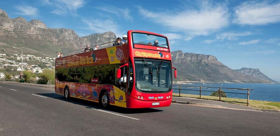Cape Town: Hop-On Hop-Off Bus Tour with Optional Cruise - V&A Waterfront: Easy Anchor for Food, Boats, and Transfers