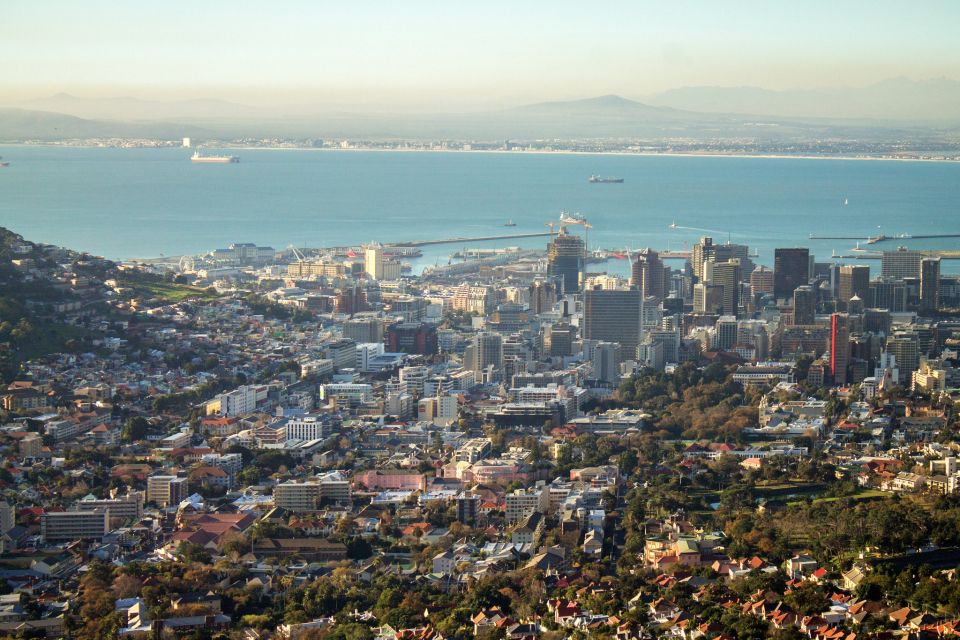 Cape Town: Hop-On Hop-Off Bus Tour with Optional Cruise - What You’ll Hear: Multilingual Audio That Makes Stops Make Sense