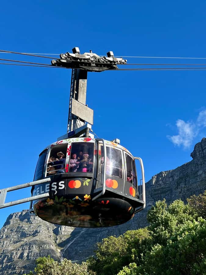 Cape Town Tour: Table Mountain, Penguins & Cape Point+Pickup - Table Mountain cable car: views, timing, and weather reality