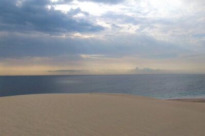 Desert safari, Dune bashing, sandboarding, camel, ATV Option - Dune bashing: adrenaline with a serious driving skill behind it