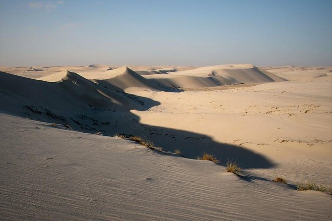 Desert safari, Dune bashing, sandboarding, camel, ATV Option - Camel ride reality check: short, photo-first, still part of the vibe