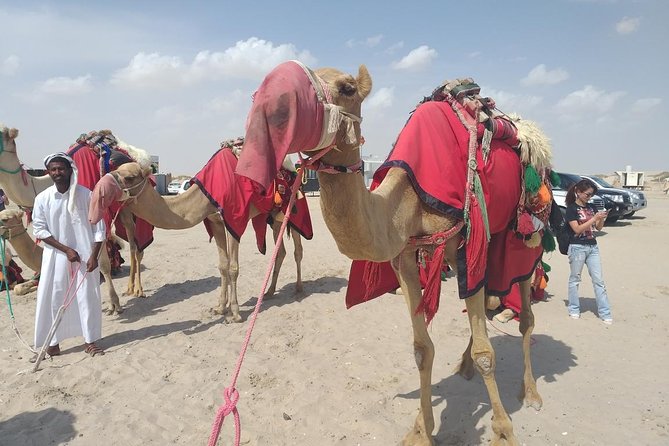 Desert safari, Dune bashing, sandboarding, camel, ATV Option - Inland Sea (Khor Al Adaid): the photo stop that changes the whole trip