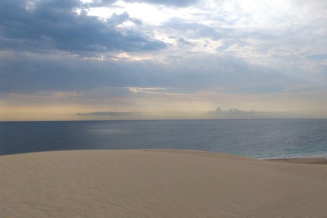 Desert safari, Dune bashing, sandboarding, camel, ATV Option - Dune bashing: adrenaline with a serious driving skill behind it