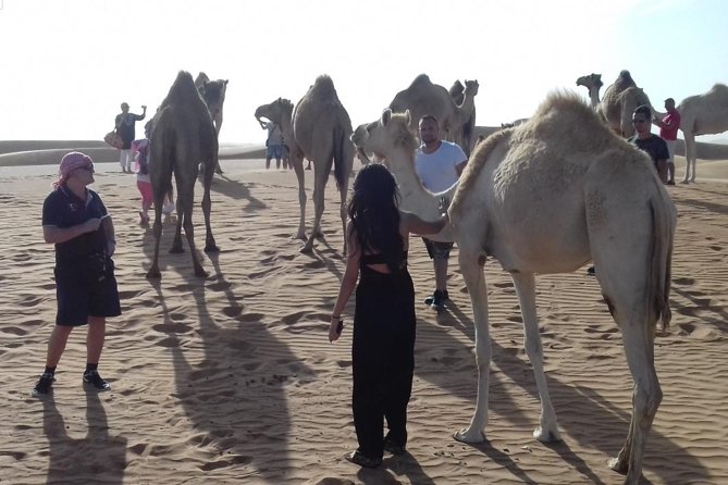 Desert Safari Tour, Quad Bike with BBQ Dinner & Show from Dubai - Quad Bikes (and Buggy) Add-On: Great Fun, but Expect Trade-Offs