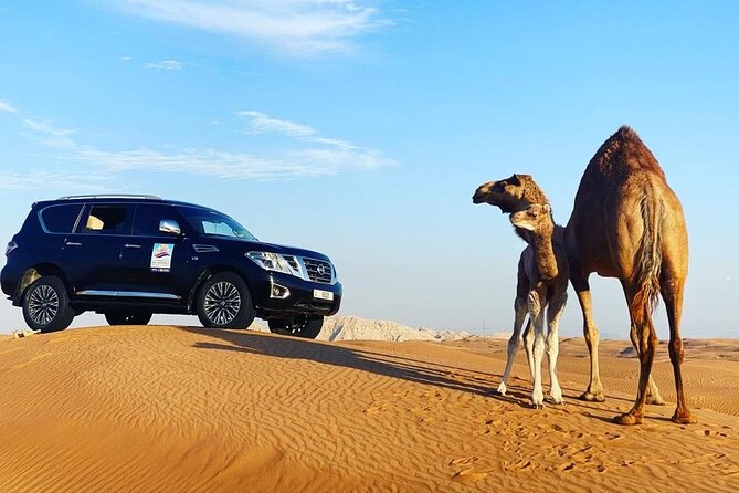 Desert Safari With BBQ Dinner, Quad Bike & Camel Ride from Dubai - Should you book the Desert Safari with BBQ Dinner, Quad Bike & Camel Ride?